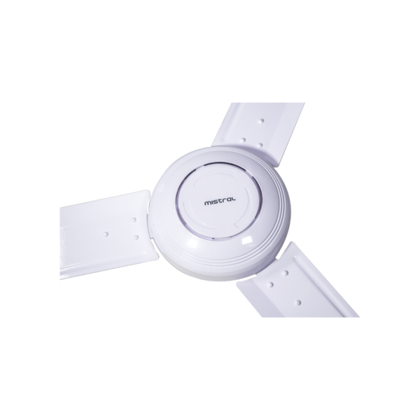 60" Ceiling Fan (2 Units)