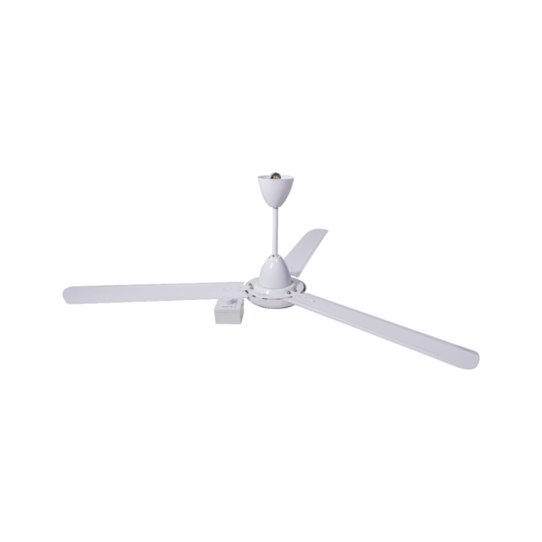 60" Ceiling Fan (2 Units)