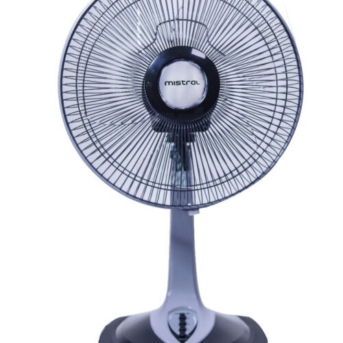 12" Table Fan